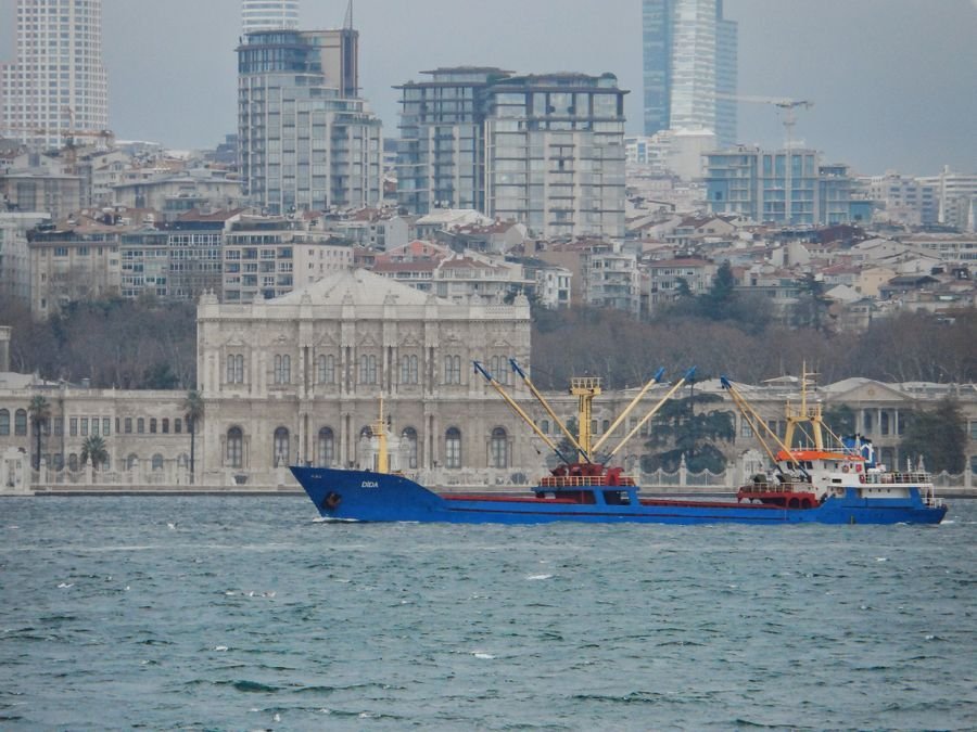 Services provided in Turkey